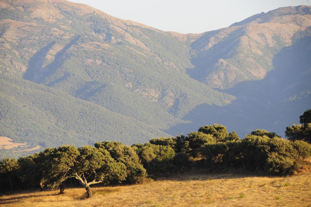 Agriturismo Rocca Su Moru Villa Arbus Eksteriør billede